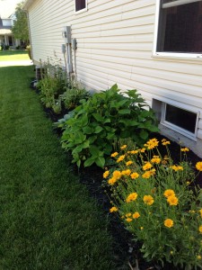 Side Yard from White Fence