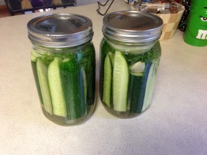 Pickled Pickles