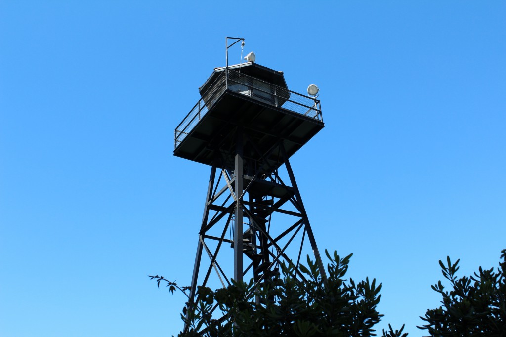 Dock Tower