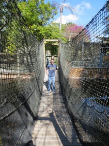 Brian on the Suspension Bridge