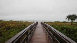 View to beach