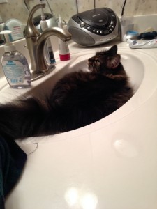 Boppy in a sink