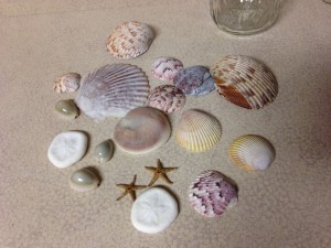 Shells