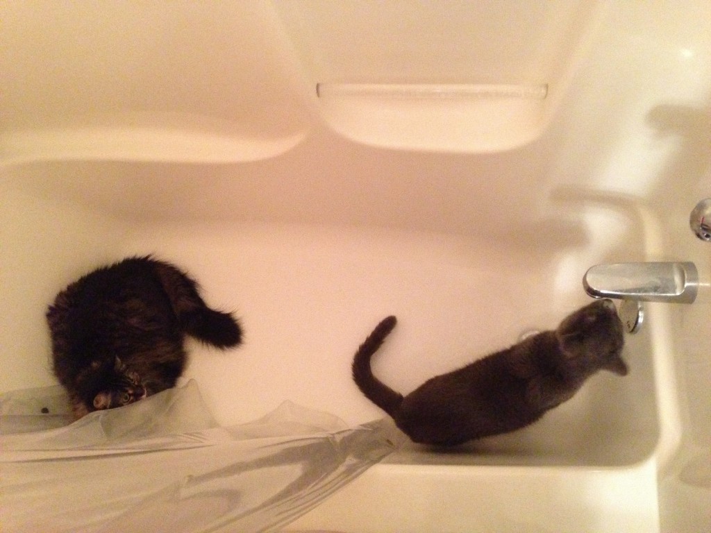 BATHTUB PARTY