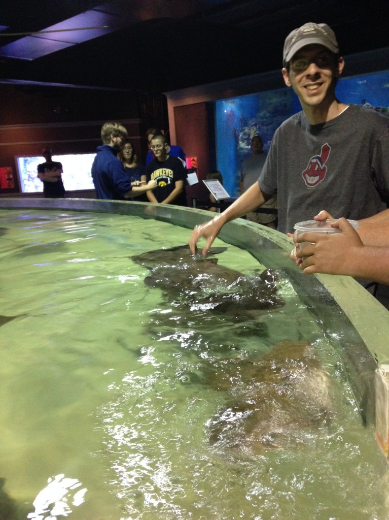 Feeding a stingray