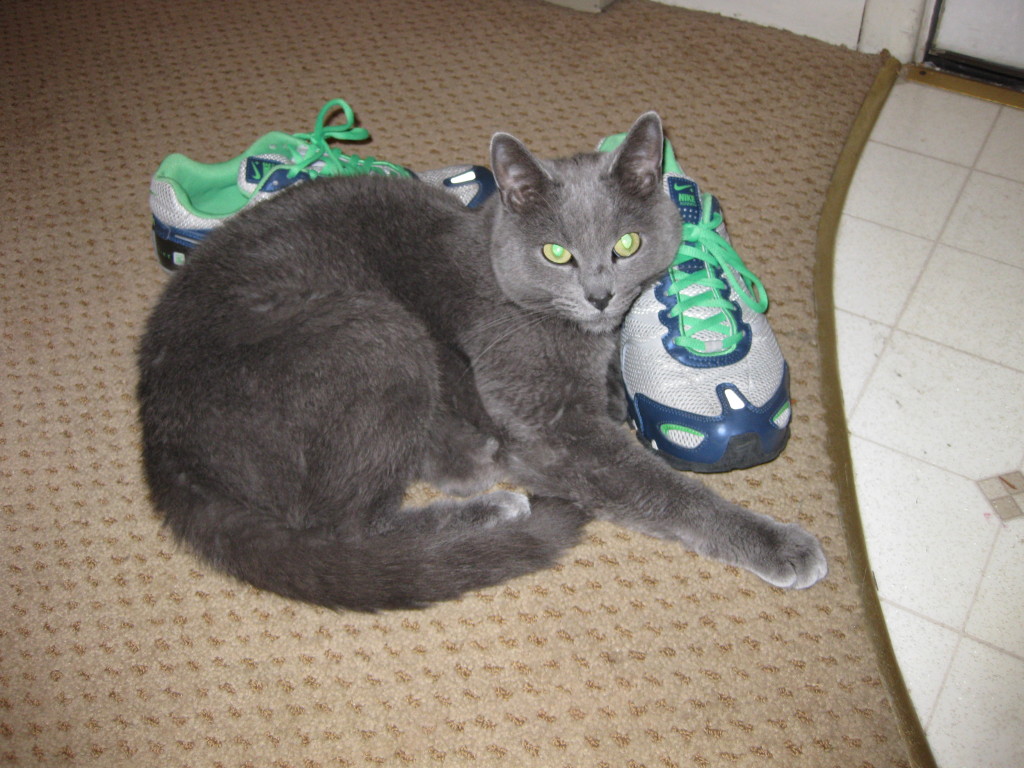 Harvey with my shoes