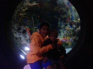 Jack and Trav Aquarium